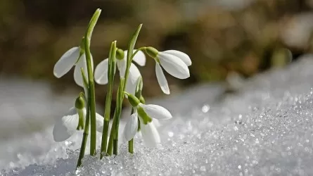 Қазақстанның 11 өңірінде ауа райына байланысты ескерту жасалды