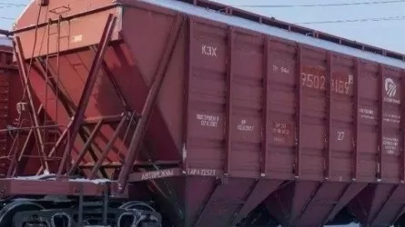 Наполовину выросли перевозки экспорта зерна нового урожая в Казахстане 