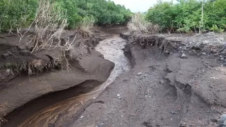 Селевые потоки сошли в горных районах Кыргызстана 
