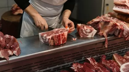 Мясные отходы и сотни голов скота: нелегальные цеха массово закрывают в Казахстане 