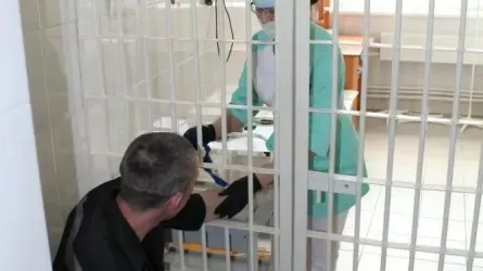 ШҚО-да дәрігерлер сотталғандарды тексермей, төлем алған