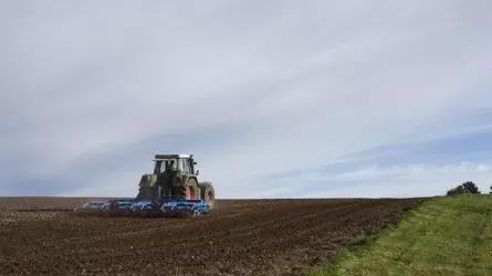 Сколько пашенных земель засеют в Жамбылской области  