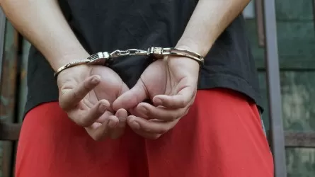 Кәмелетке толмағандарға жыныстық зорлық жасаған 25 адам өмір бойына сотталды – Динара Зәкиева 