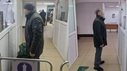 Қазақстан заңдарына бағынбаған екі шетелдік елден депортацияланды