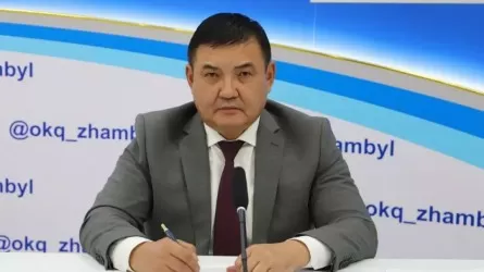 Жоғары аудиторлық палата мүшесі тағайындалды