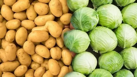 Павлодарда қырыққабат пен картоптың бағасы өсті