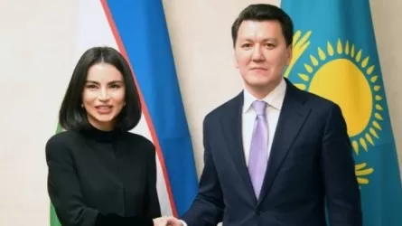 Ерлан Қарин Өзбекстан Президентінің көмекшісі Саида Мирзиёевамен кездесті