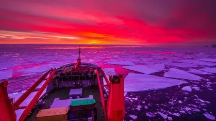 Одно из самых низких значений площади морского льда зафиксировали в Антарктике 