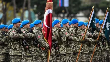 Түркия бітімгер әскерін Украинаға жіберу жолын қарастырып жатыр