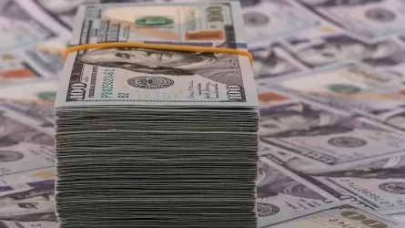 Қазақ-өзбек шекарасында 1,3 млн долларды заңсыз өткізбек болған адам ұсталды