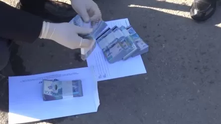 Жетісу облысында табиғи монополияға жауапты басшы пара алды деген күдікке ілінді