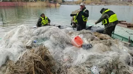 Десятки километров сетей установили браконьеры на Капшагайском водохранилище  