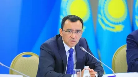 Мәулен Әшімбаев Каспийдің жағдайына алаңдаушылық білдірді