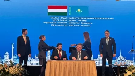 Венгриялық кәсіпкерлер Қазақстанда 4 ірі инвестициялық жобаны жүзеге асырмақ