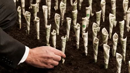 Елімізге инвестиция тарта алмай, дерлік құр қарап отырған сала белгілі болды