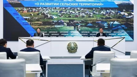 Стало известно, сколько инвестиций было вложено в капитал сельской местности в Казахстане