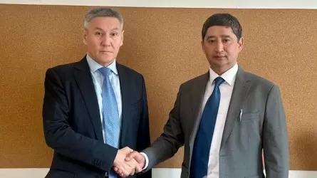Заместитель председателя комитета ветеринарного контроля и надзора назначен в МСХ РК 
