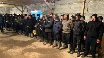 Алматыда заңсыз еңбек еткен шетелдіктер анықталды