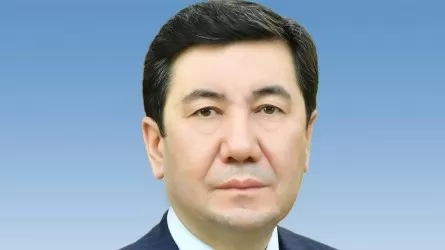 Кошанов: диктатура закона и порядка меняет страну и общество 
