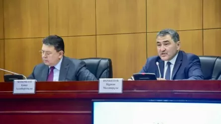 Қазақстанда Қытаймен су бөлісу мәселесін шеше алатын дипломаттар бар