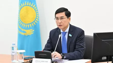 Асхат Аймағамбетов Қазақстандағы шешімін таппаған мәселені атады