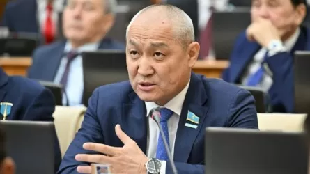 Жалған тарих жасаудың қажеті жоқ – Мәжіліс депутаты