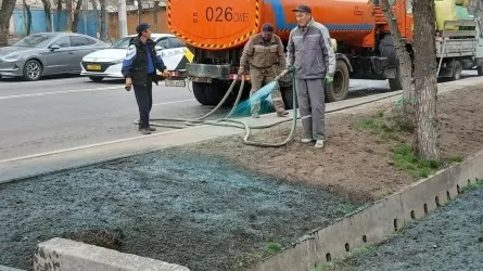 Алматыда көк түсті бояумен көгалдандыру жұмыстары жүргізіліп жытыр – Әкімдік түсінік берді