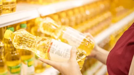Елімізде өсімдік майы өндірісі 26%-ға артты