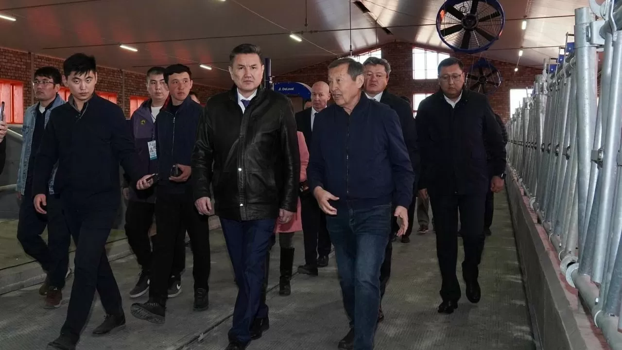 Аким ВКО посетил крупные агрообъекты Уланского района 