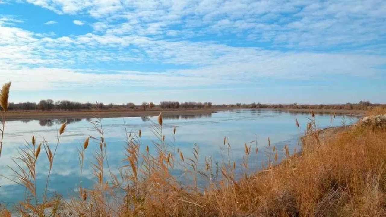 Қазақ "қарабура" әдісімен асау дарияны да тоқтатқан