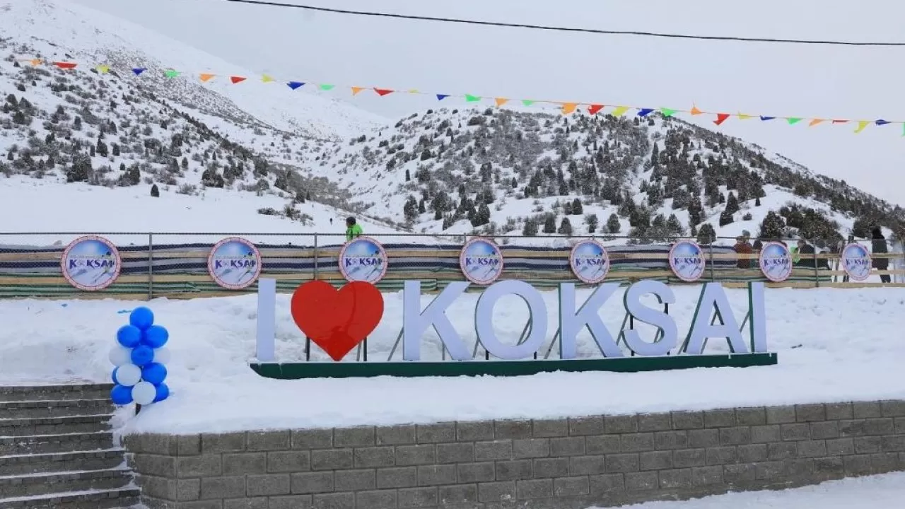 Жамбылда жергілікті органдар инвестордың жұмысына кедергі келтірген
