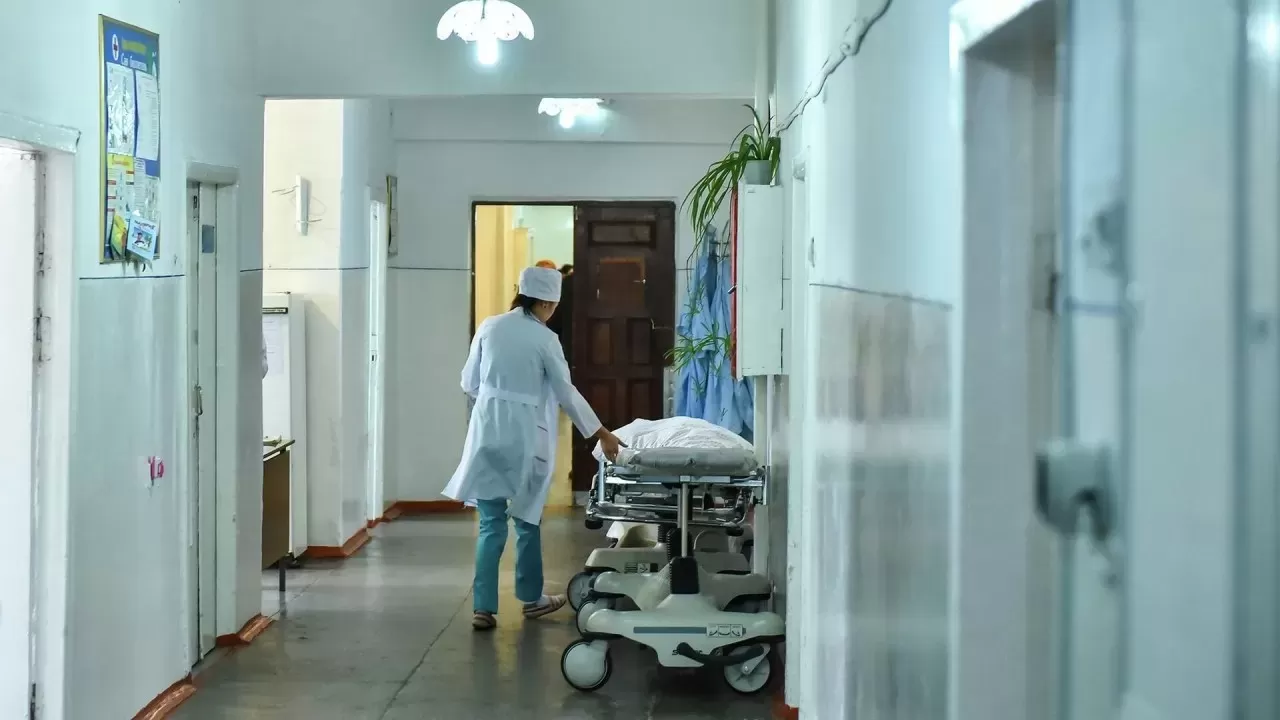 Шудағы ана мен бала өлімінің себебі анықталып, бас дәрігер қызметінен босатылды