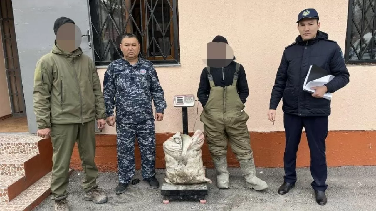 Электроудочники задержаны в Алматинской области 