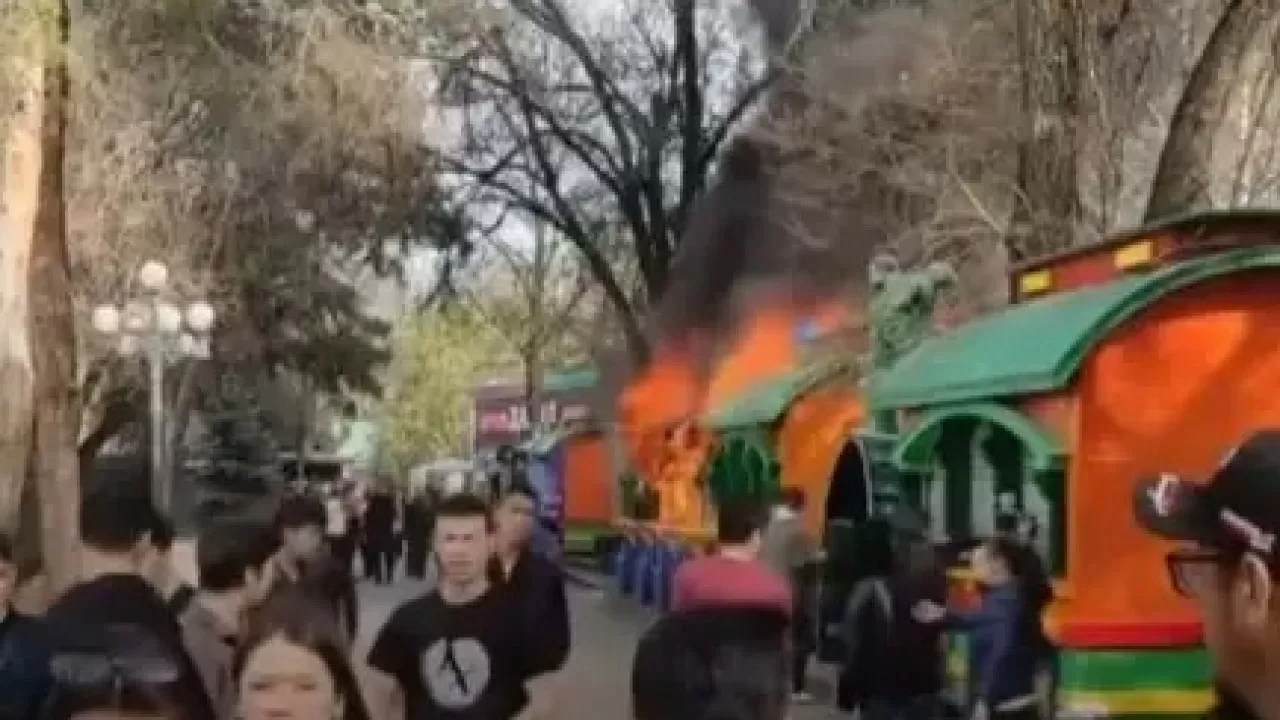 Алматыдағы Орталық демалыс саябағында өрт шықты  