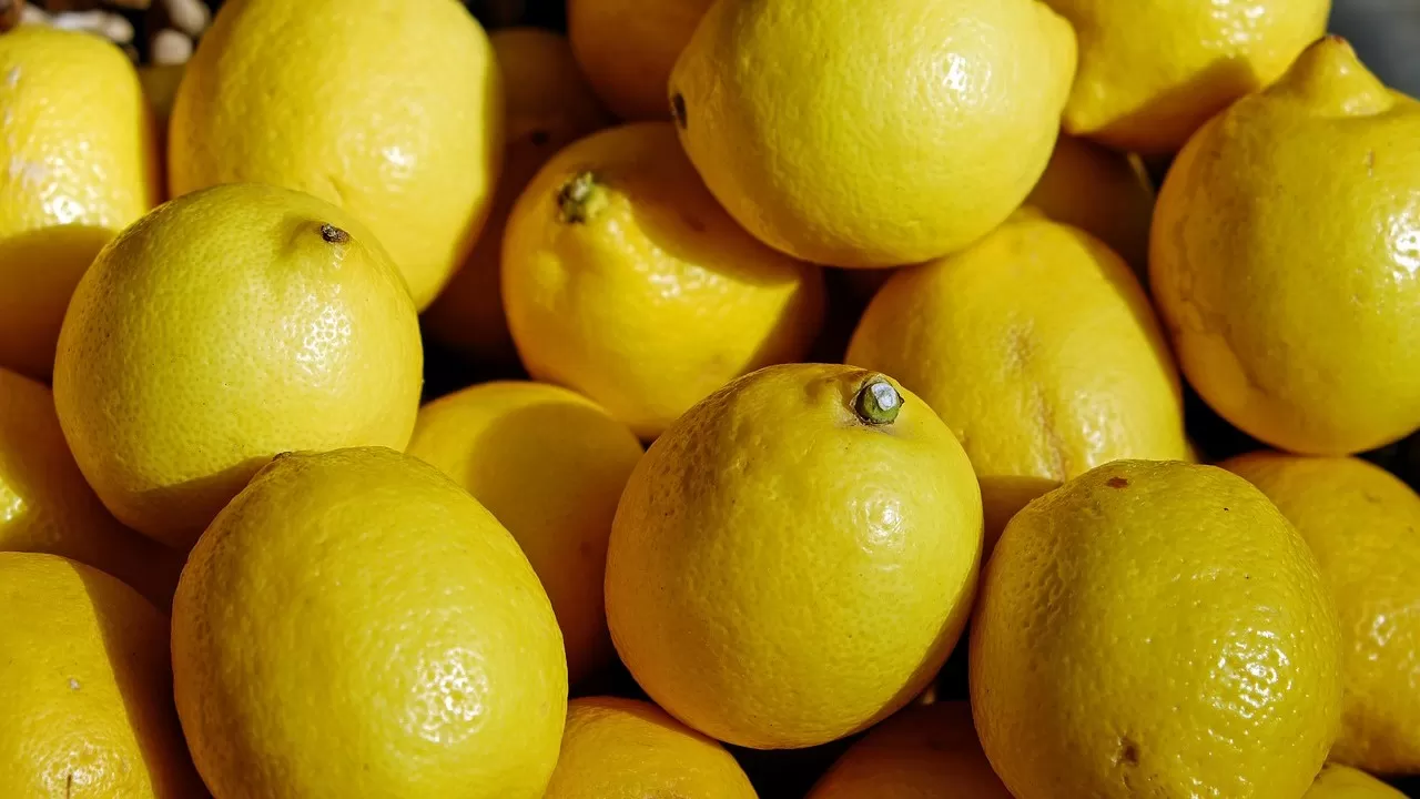 Какие продукты лучше всего очищают кровь