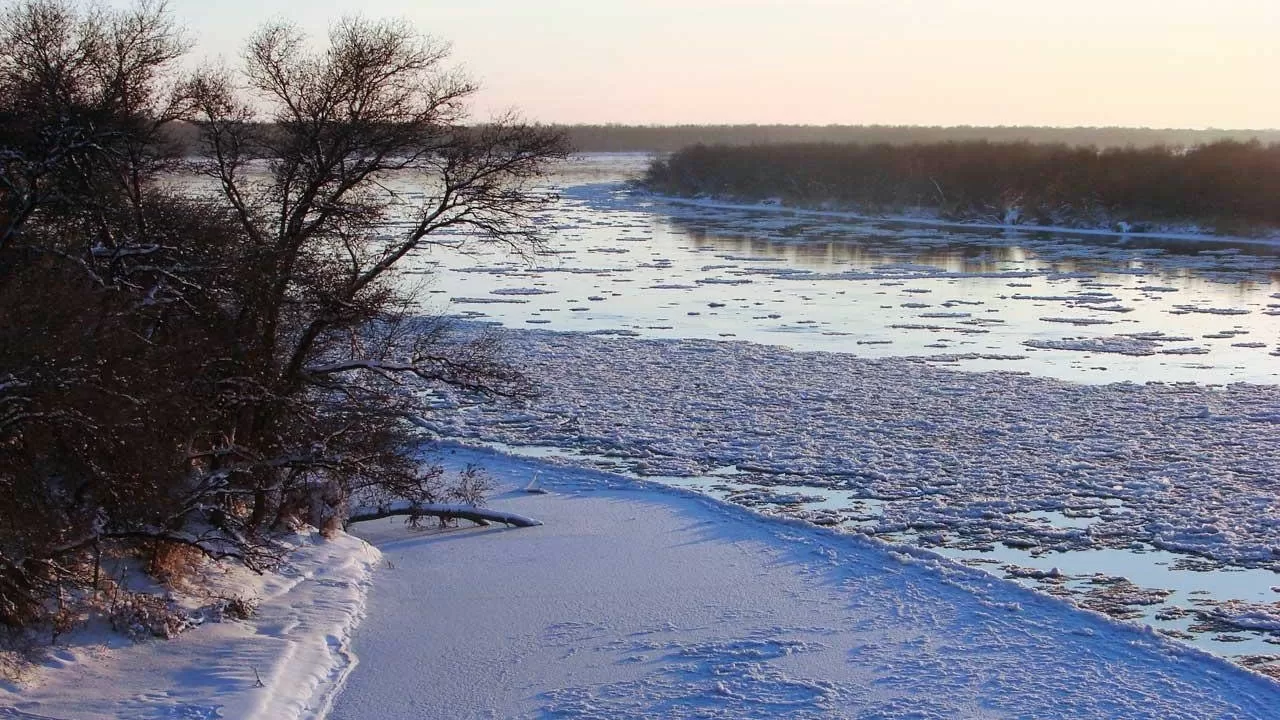 Вода из Сырдарьи спасет урожай в 2025 году: сколько получит Казахстан