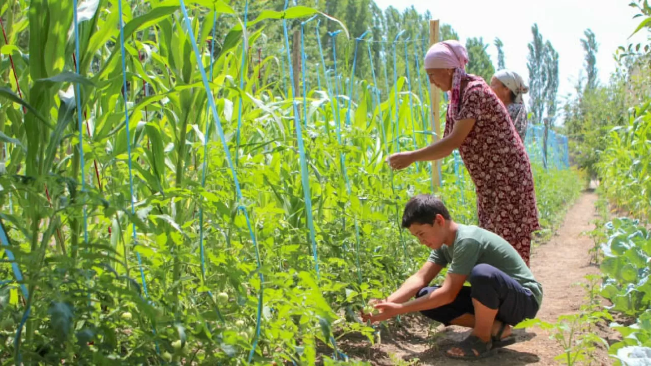 Елімізде Lady Farmer байқауы басталды