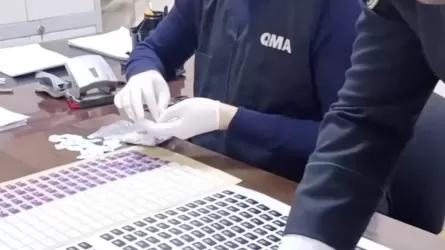 Алматыда 3 шетел азаматынан 5 мыңнан астам SIM-карта тәркіленді