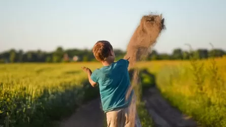 В Павлодаре нашли пятилетнего мальчика: подробности 