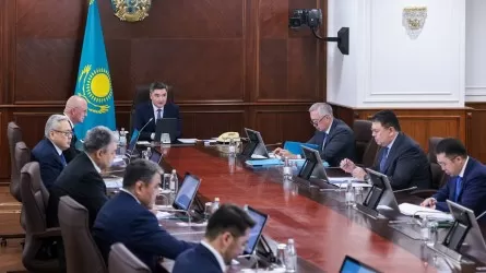 «Уақытында хабар берілмеген»: Үкімет басшысы екі облыстағы орман өрті туралы