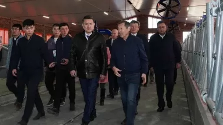 Аким ВКО посетил крупные агрообъекты Уланского района 