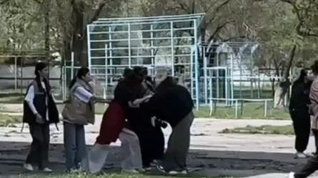 Алматы облысында қыздар арасындағы төбелес бейнежазбаға түсіп қалды