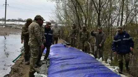 ТЖМ басшысы су тасқынына қарсы дайындық барысын тексерді