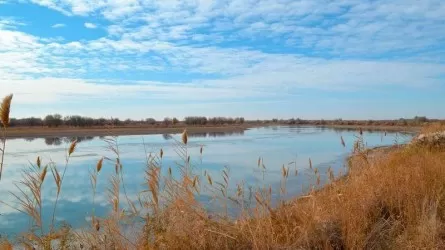 Қазақ «қарабура» әдісімен асау дарияны да тоқтатқан