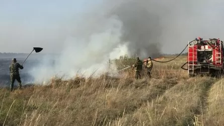 Баянауыл ұлттық паркіндегі негізгі өрт оқшауланды