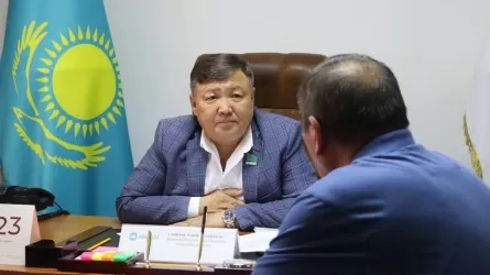 «Жаңа салық төлеушілер сонша бухгалтерді қайдан алады»: Депутат мәселе көтерді