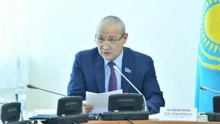 Шетелдік ұйымдар демократиялық қағидаттарды желеу етіп, жымысқы саясатын іске асыруы мүмкін – Депутат