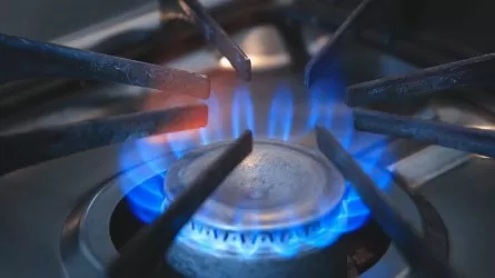 В Казахстане появится ИИ-помощник для подачи заявок на газ  