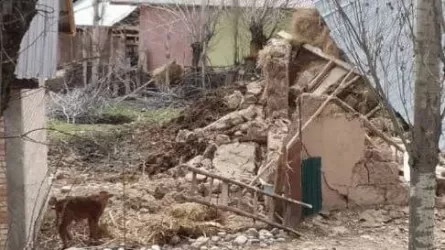 Стало известно о разрушениях после землетрясения, которое ощутили в Казахстане