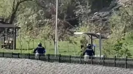 Алматыда полициядан қашқан мопед жүргізушісі ұсталды 